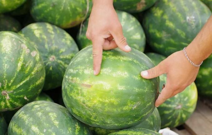 5 viktiga tips för att välja vattenmelon | ZikZak