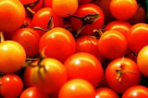 Användbar mirakel gödsel för tomater från en nässla