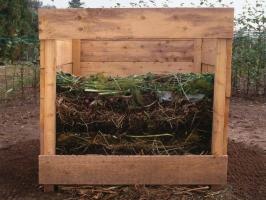 Hur kompetent att göra bra kompost