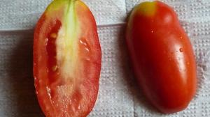 Varför tomater vita och stela seredinka.