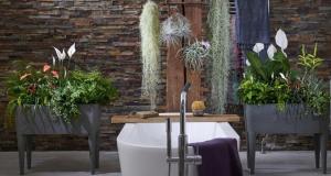 Växterna i badrummet bidrar till lycksalig atmosfären. 6 varianter av "live" dekor