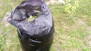 Kompost för 3 månader i soppåsar