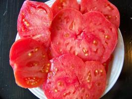 8 ovanliga och utsökta sorter av tomater
