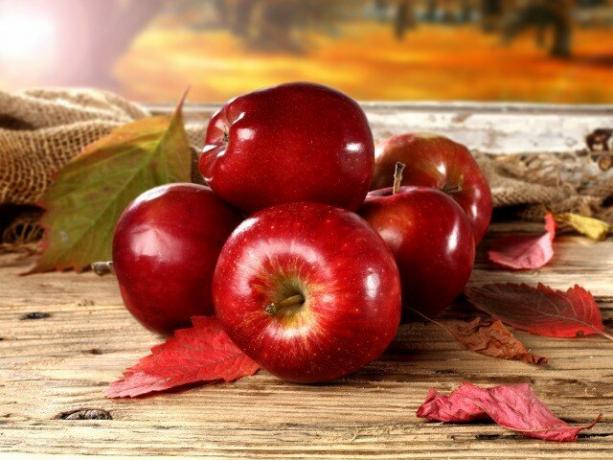 Vilka är fördelarna med äpplen och kan de skada kroppen