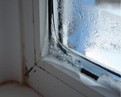 Plastfönster "rop" varför kondens på fönsterkarmar och vad man ska göra