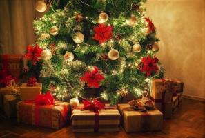 Hur man väljer en julgran baserat på stjärntecken. 12 utestående idéer