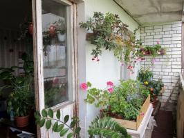 Hur man utrusta en vinterträdgård på balkongen