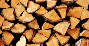 Finns det något bättre trä för att värma upp ugnen?
