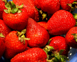 Strawberry. 10 bästa sorterna