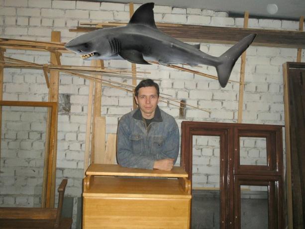 Shark tas från tjänste Yandex-bilder