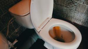 Hur du snabbt och enkelt städa upp toaletten från rost och gult plack?