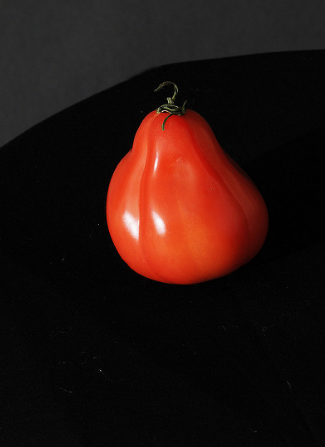 Mångfalden av tomat "Puzata hut"