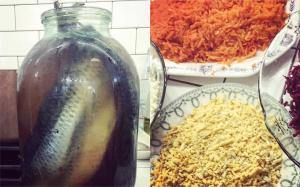 Krydda med salt och koka sill rock för 3 dagar tills det nya året enligt receptet av Margarita Simonyan