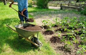 Organiska gödselmedel i trädgården: 5 bästa utan kemi