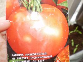 Sow tidigt mognande tomater i början av april. 7 populära sorter