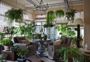 Som original och smakfullt dekorera ditt hus växter, vilket gör det inre av rummen oförglömlig. 6 designidéer