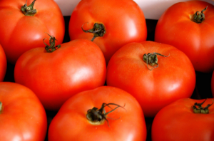 6 fel i tomatodling
