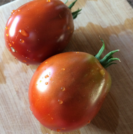 Tomat "Japansk tryffel"