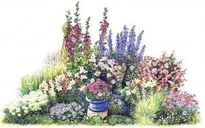 Blomster "Empress" en lyxig blomsterträdgård för sommaren smakfull (3 m) system, bilder, beskrivning