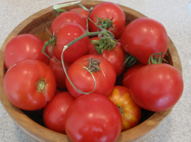 Tomat Dachnik för "lata" bönder